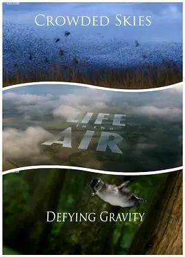 《空中生灵》：当生命在高空绽放，一场关于自由与极限的奇幻史诗